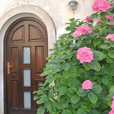 B&B Casa Antonia Trentinara Zewnętrze zdjęcie