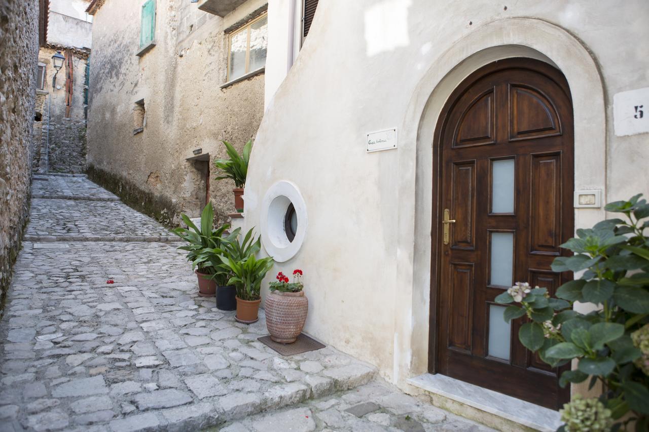 B&B Casa Antonia Trentinara Zewnętrze zdjęcie