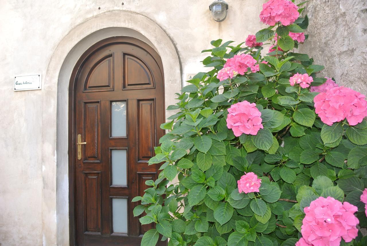 B&B Casa Antonia Trentinara Zewnętrze zdjęcie